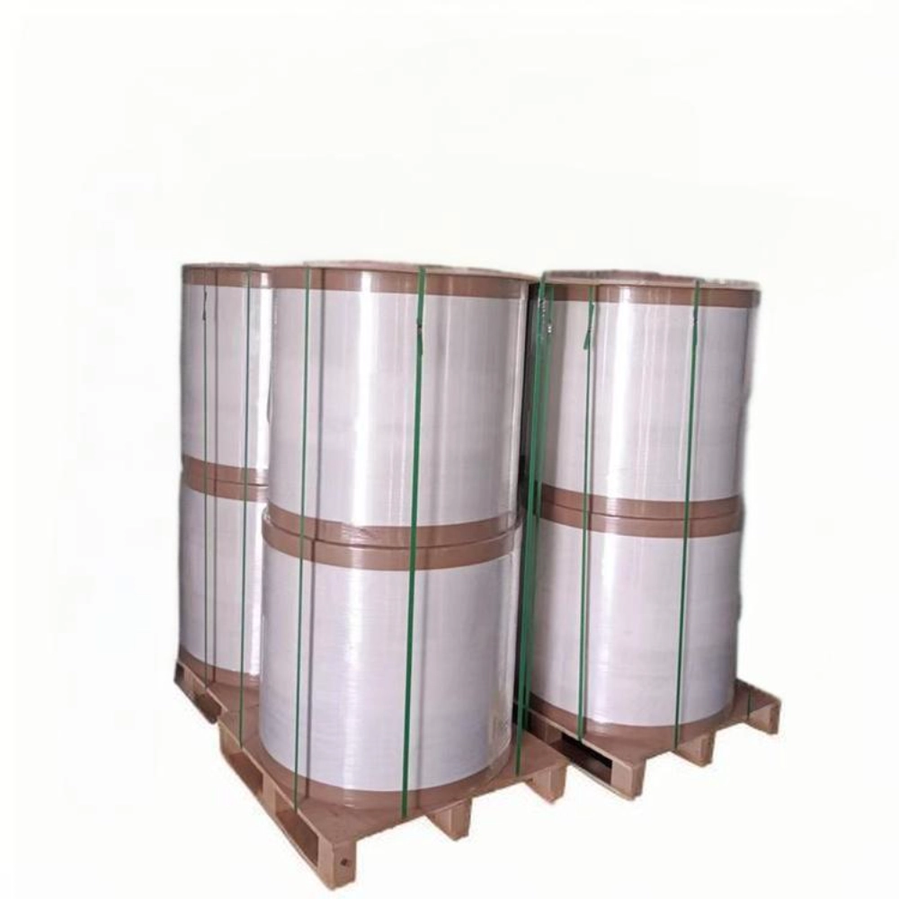 BPA-freie, qualitativ hochwertige Registrierkassenbelege, die Jumbo-Rollen drucken