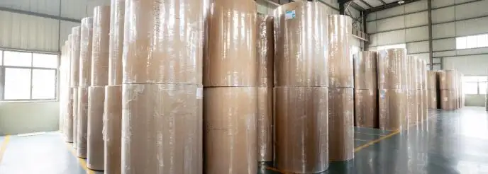 Thermopapierrollen BPA-frei